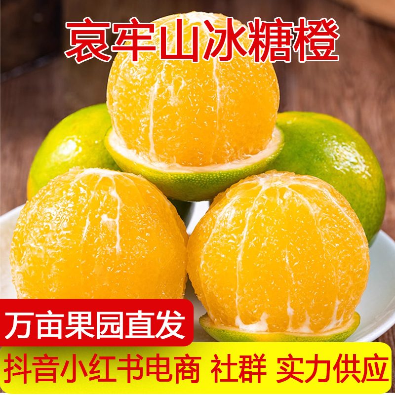 云南哀牢山冰糖橙新鲜脐橙当季水果