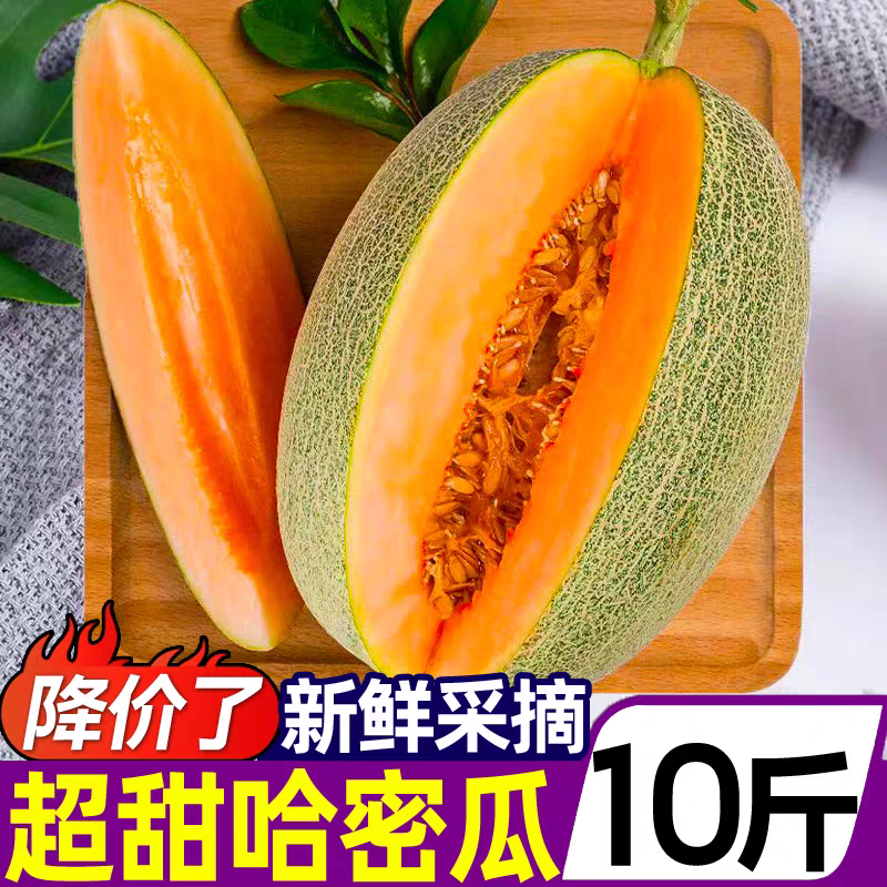 新鲜西州蜜哈密瓜 当季网纹甜瓜蜜瓜水果
