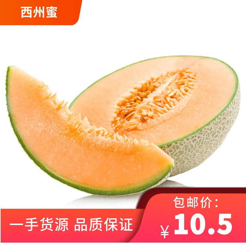 海南西州蜜25号哈密瓜 新鲜水果生鲜蜜瓜整件