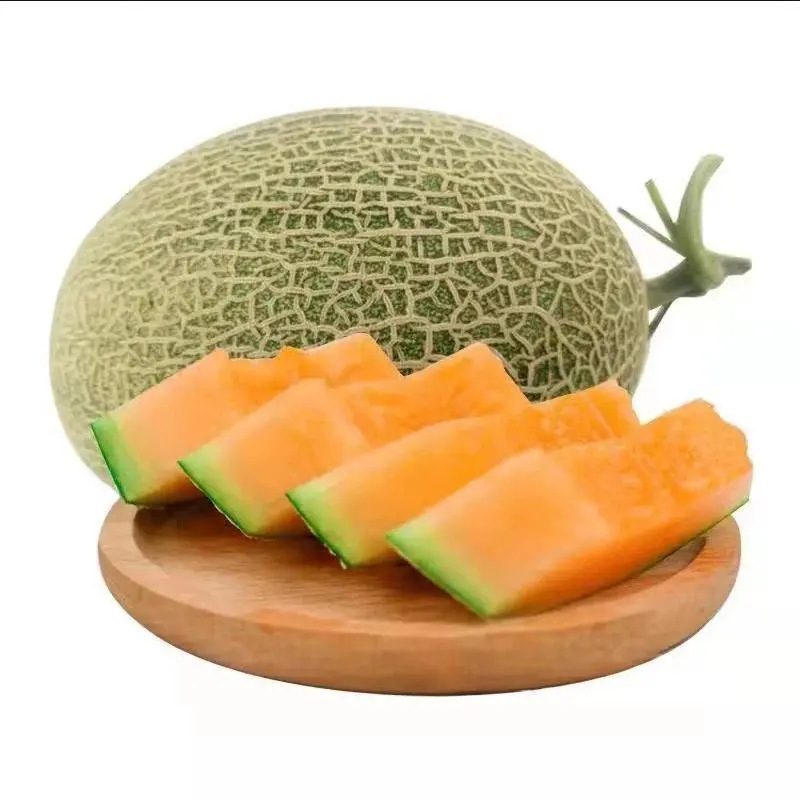 海南西州蜜哈密瓜 新鲜水果