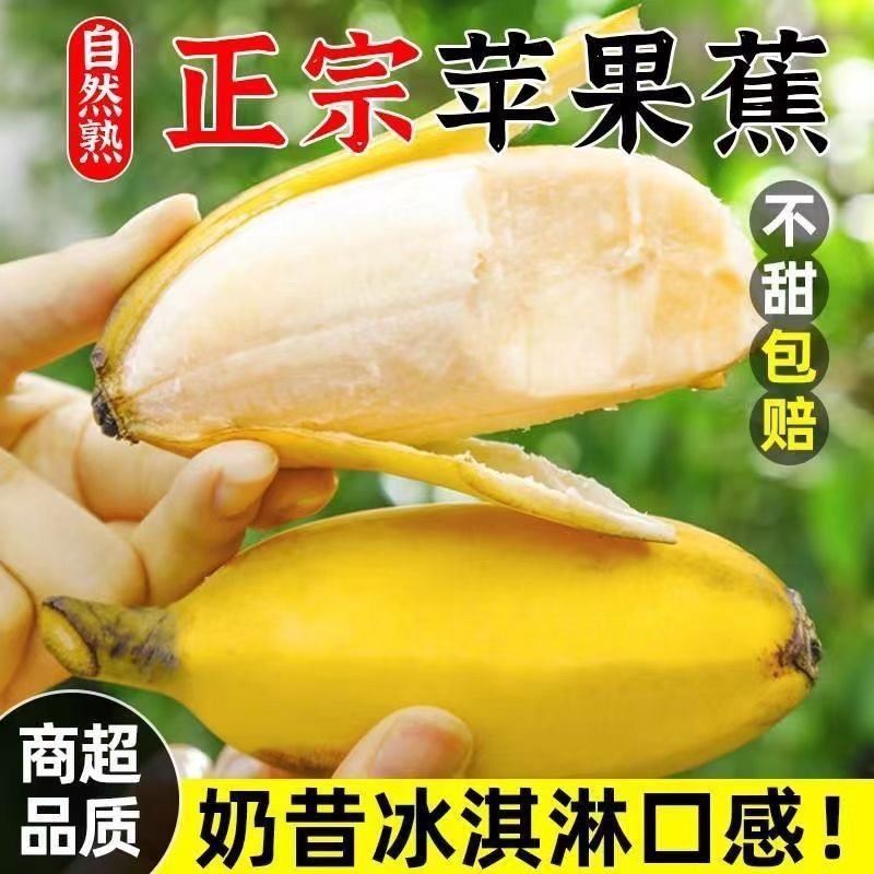 正宗广西特产苹果蕉 新鲜当季粉蕉香蕉 生鲜水果