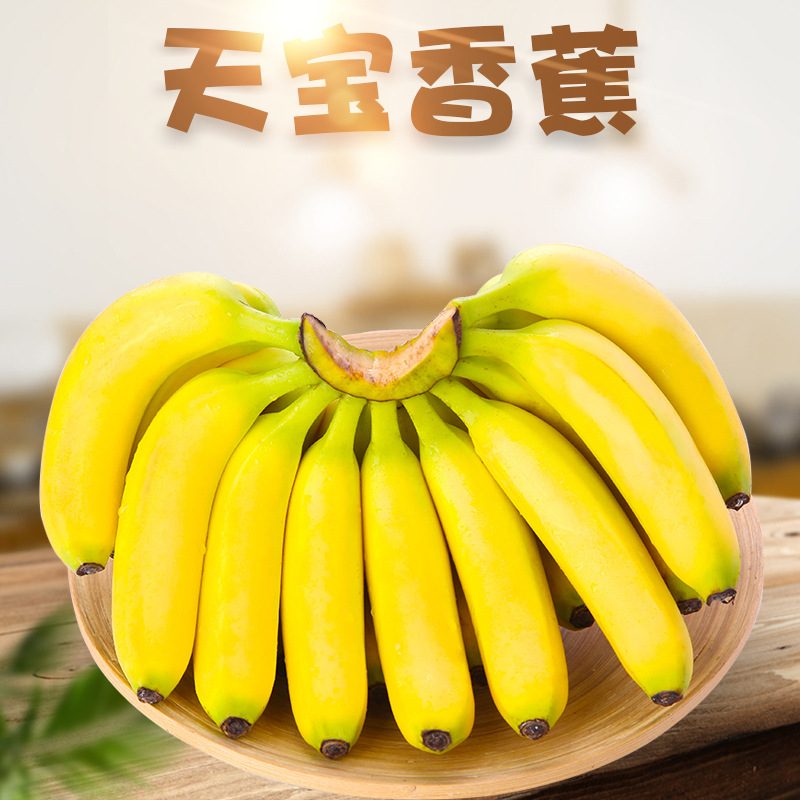 福建天宝香蕉 当季一级新鲜水果 大香蕉 非仙人蕉