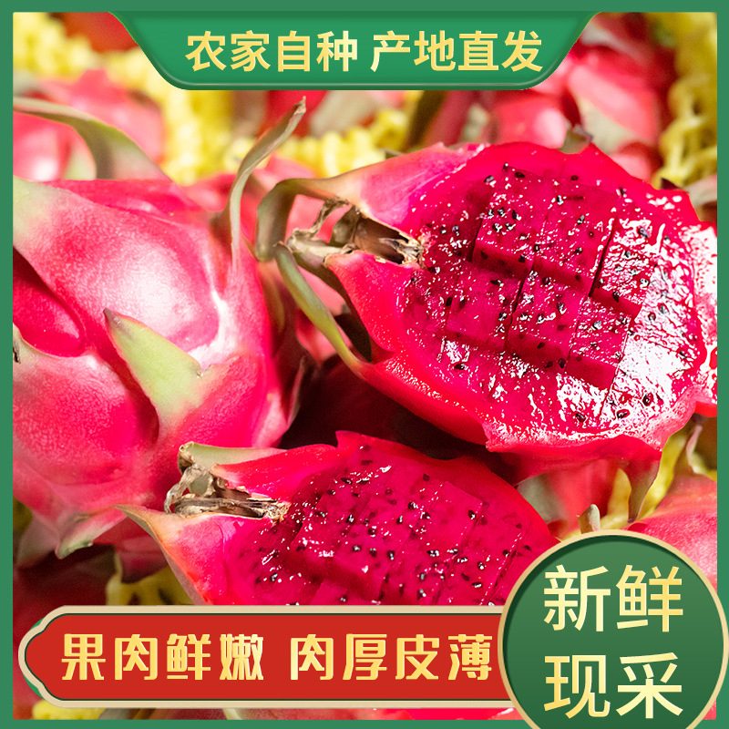 广西金都一号红心火龙果，新鲜多汁