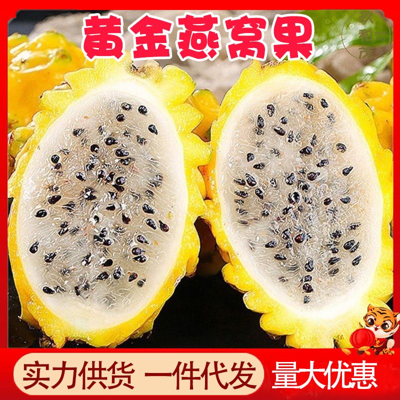 麒麟燕窝果黄色火龙果，新鲜热带水果整箱
